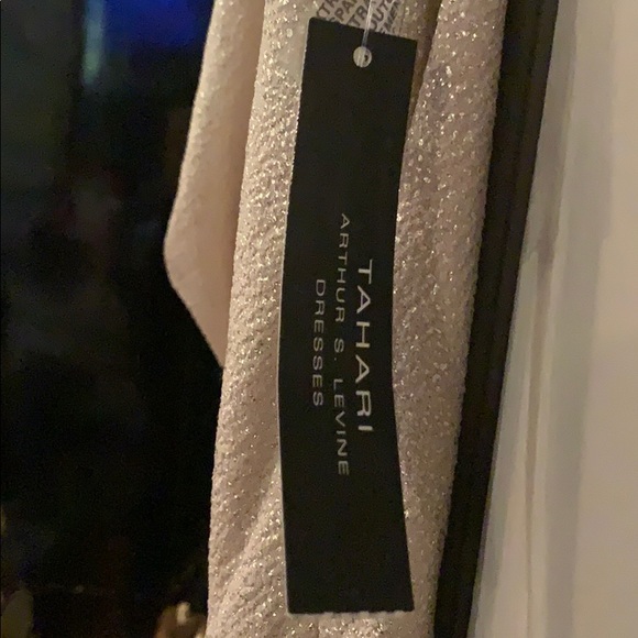 Tahari Light Gold Long Evening Gown - Picture 5 of 6